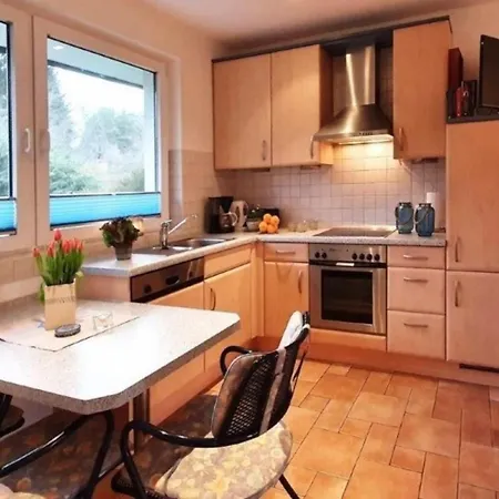 Sonnenblume Diemitz (Mecklenburgische Seenplatte)