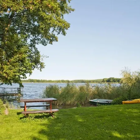 Sonnenblume Diemitz (Mecklenburgische Seenplatte)