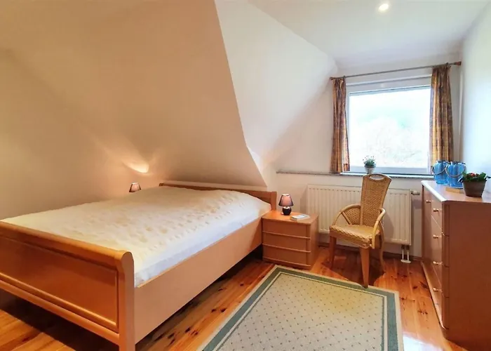 Sonnenblume * Diemitz (Mecklenburgische Seenplatte)