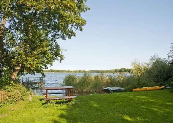 Sonnenblume Diemitz (Mecklenburgische Seenplatte)